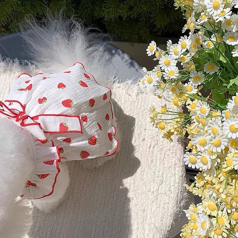 Strawberry Print Summer Dress for Dogs & Cats – EverydayTrail™