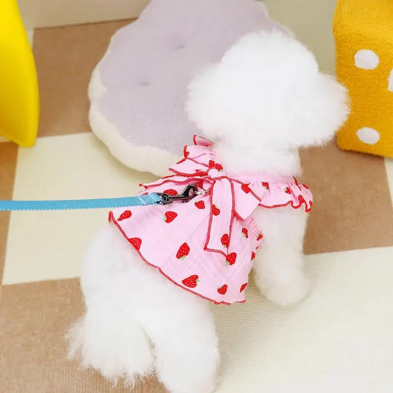 Strawberry Print Summer Dress for Dogs & Cats – EverydayTrail™