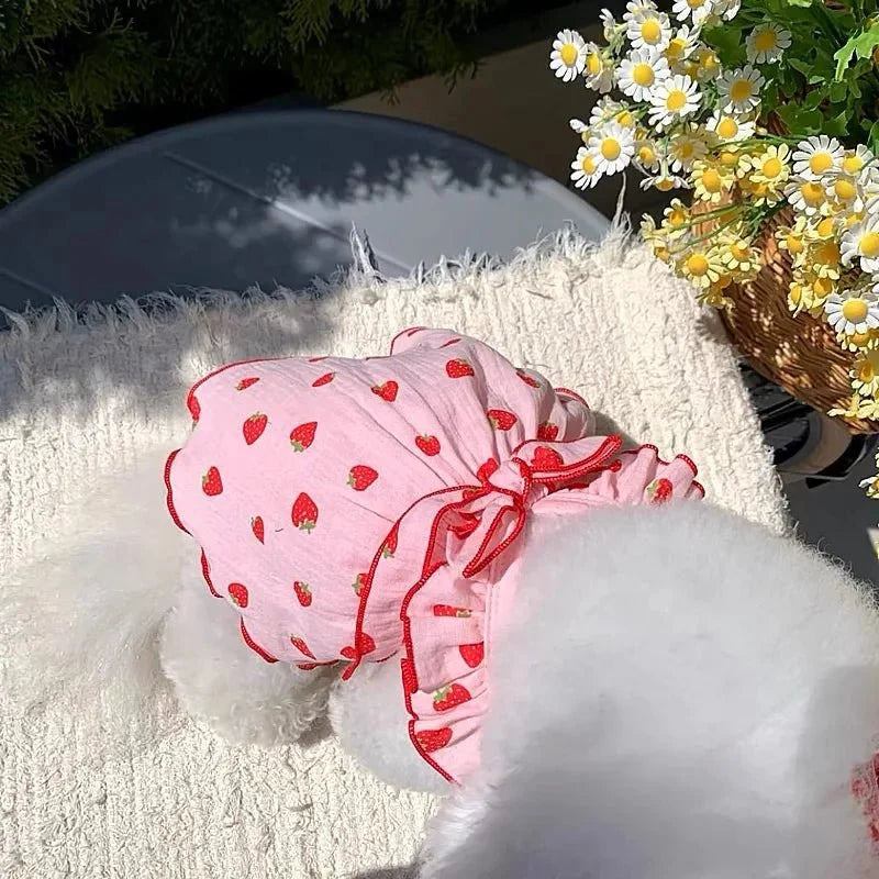 Strawberry Print Summer Dress for Dogs & Cats – EverydayTrail™
